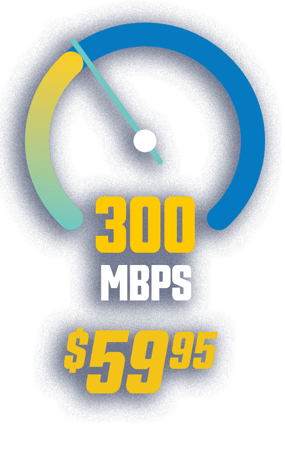 300 MBPS - $59.85